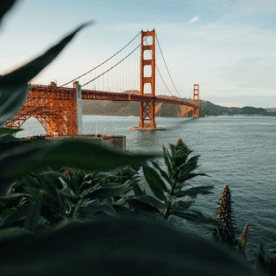 Self-observation is the first step of inner unfolding